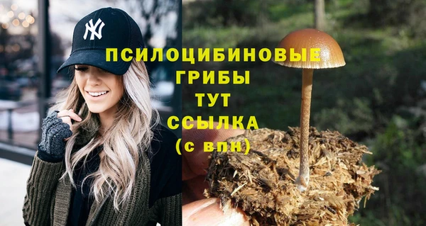 марки nbome Алексеевка